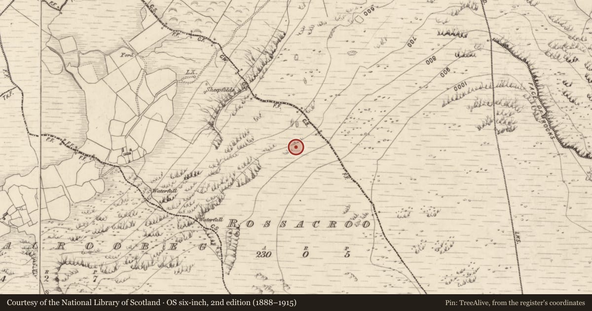 Ordnance Survey six-inch map, 2nd edition (1888–1915) covering the location of Hut site, Rossacroo, County Kerry, with a pin at the register's coordinates
