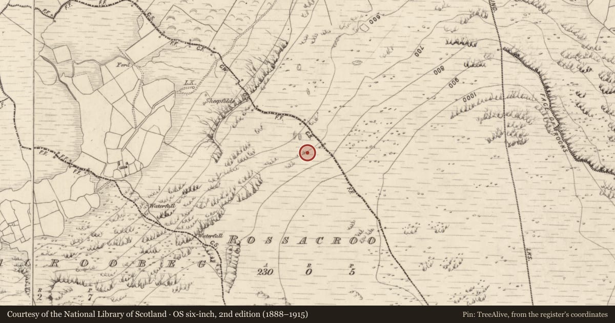 Ordnance Survey six-inch map, 2nd edition (1888–1915) covering the location of Hut site, Rossacroo, County Kerry, with a pin at the register's coordinates