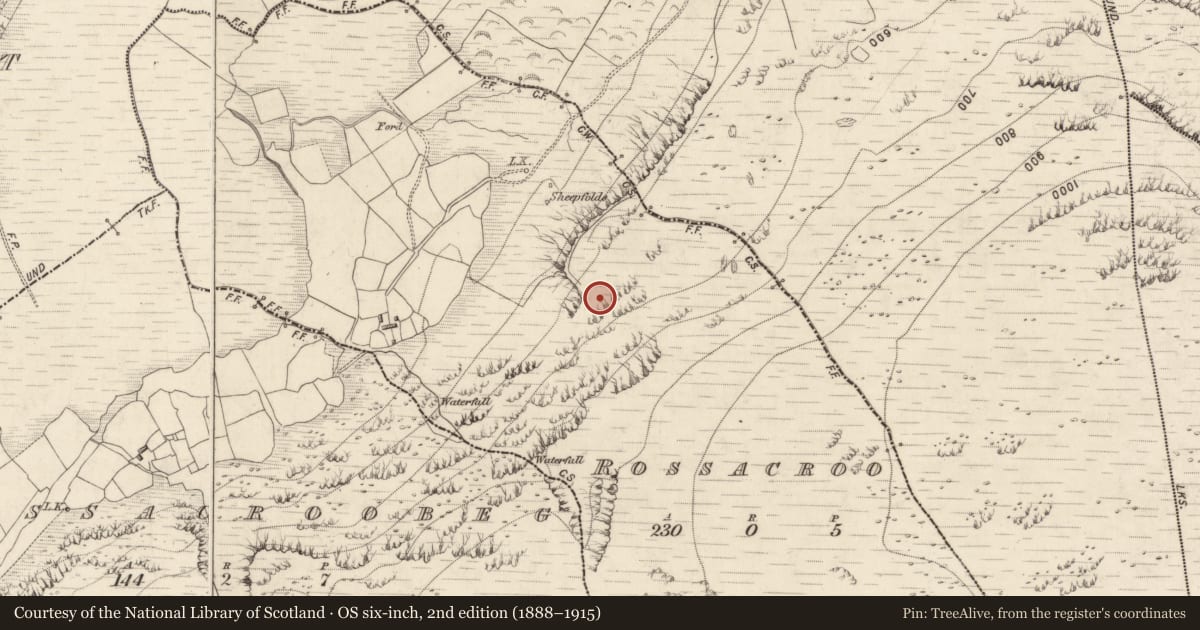 Ordnance Survey six-inch map, 2nd edition (1888–1915) covering the location of Hut site, Rossacroo, County Kerry, with a pin at the register's coordinates