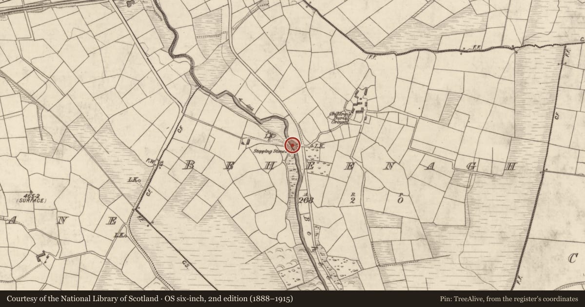 Ordnance Survey six-inch map, 2nd edition (1888–1915) covering the location of Stepping stones, Beheenagh, County Kerry, with a pin at the register's coordinates