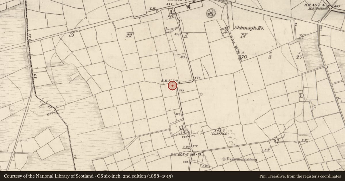 Ordnance Survey six-inch map, 2nd edition (1888–1915) covering the location of Burnt spread, Shinnagh, County Kerry, with a pin at the register's coordinates