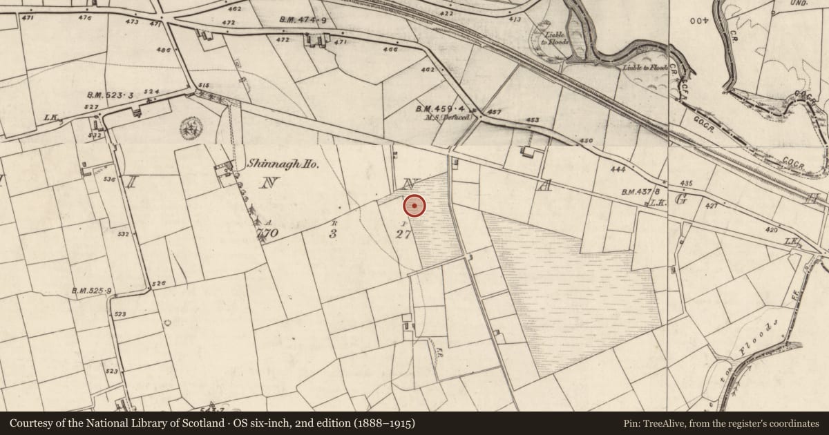 Ordnance Survey six-inch map, 2nd edition (1888–1915) covering the location of Burnt spread, Shinnagh, County Kerry, with a pin at the register's coordinates