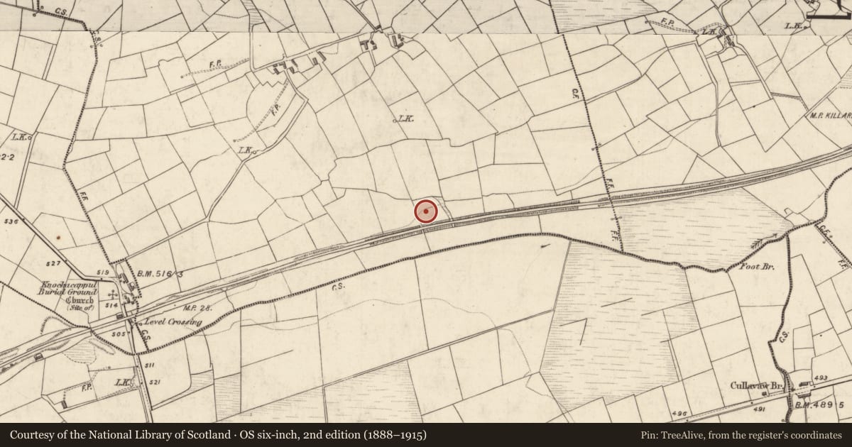Ordnance Survey six-inch map, 2nd edition (1888–1915) covering the location of Fulacht fia, Knockacappul, County Kerry, with a pin at the register's coordinates