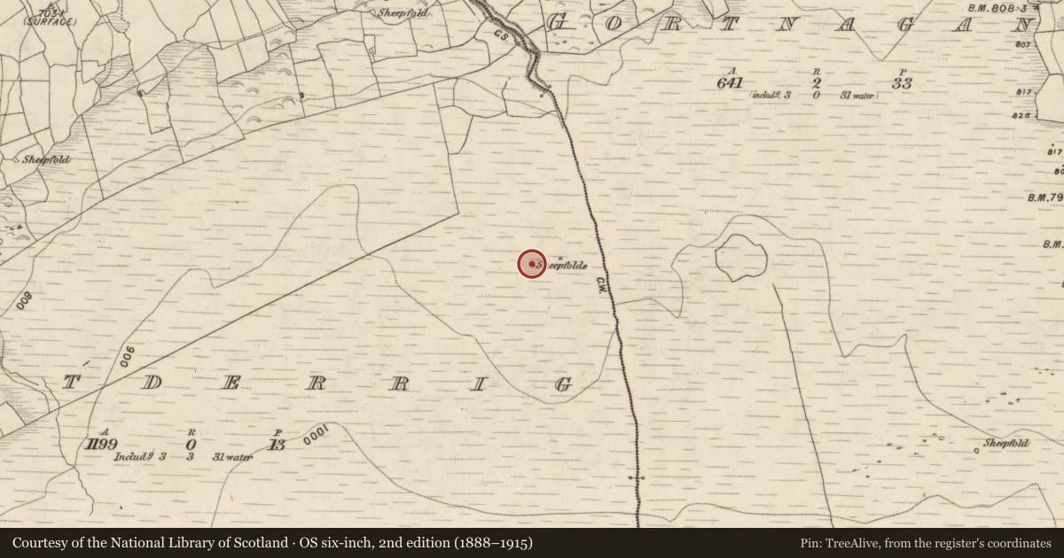 Ordnance Survey six-inch map, 2nd edition (1888–1915) covering the location of Hut site, Gortderrig, County Kerry, with a pin at the register's coordinates