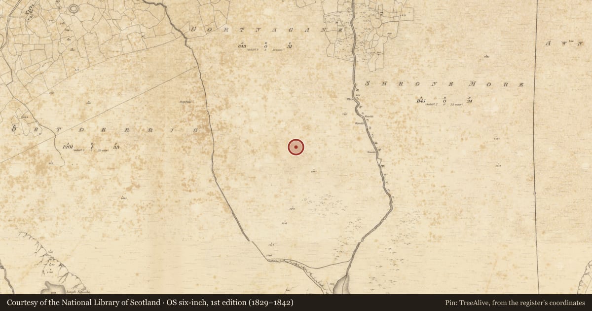 Ordnance Survey six-inch map, 1st edition (1829–1842) covering the location of Hut site, Shrone More, County Kerry, with a pin at the register's coordinates