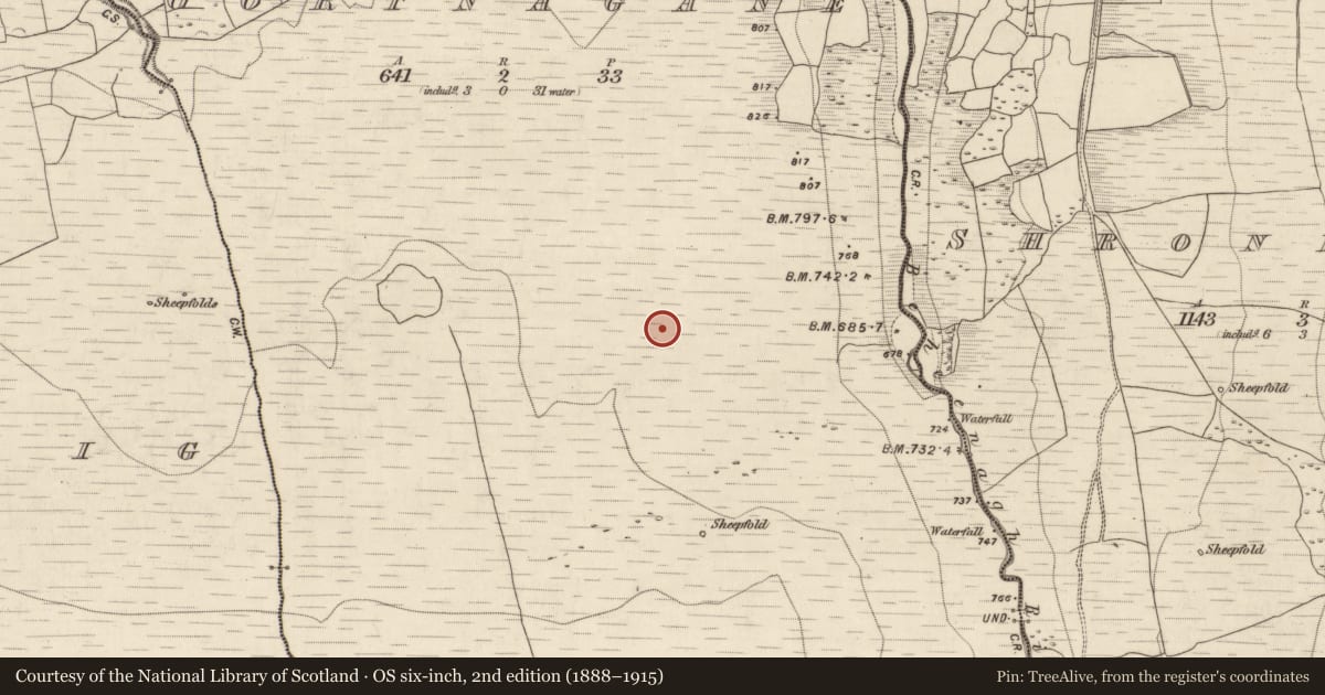 Ordnance Survey six-inch map, 2nd edition (1888–1915) covering the location of Field system, Shrone More, County Kerry, with a pin at the register's coordinates