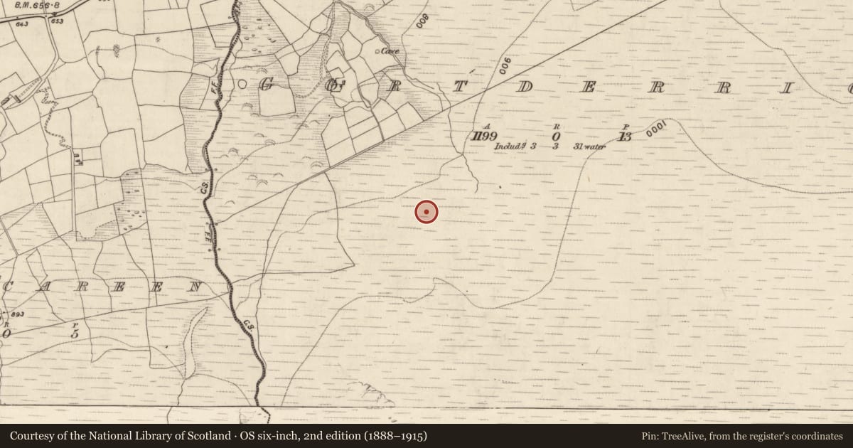 Ordnance Survey six-inch map, 2nd edition (1888–1915) covering the location of Hut site, Gortderrig, County Kerry, with a pin at the register's coordinates