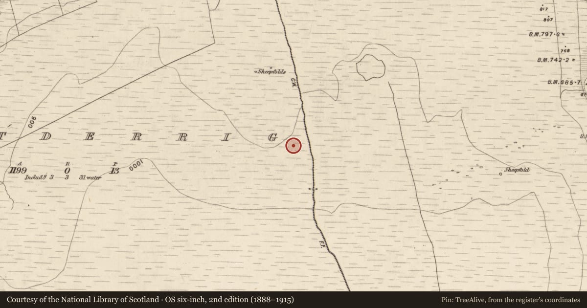 Ordnance Survey six-inch map, 2nd edition (1888–1915) covering the location of Hut site, Gortderrig, County Kerry, with a pin at the register's coordinates