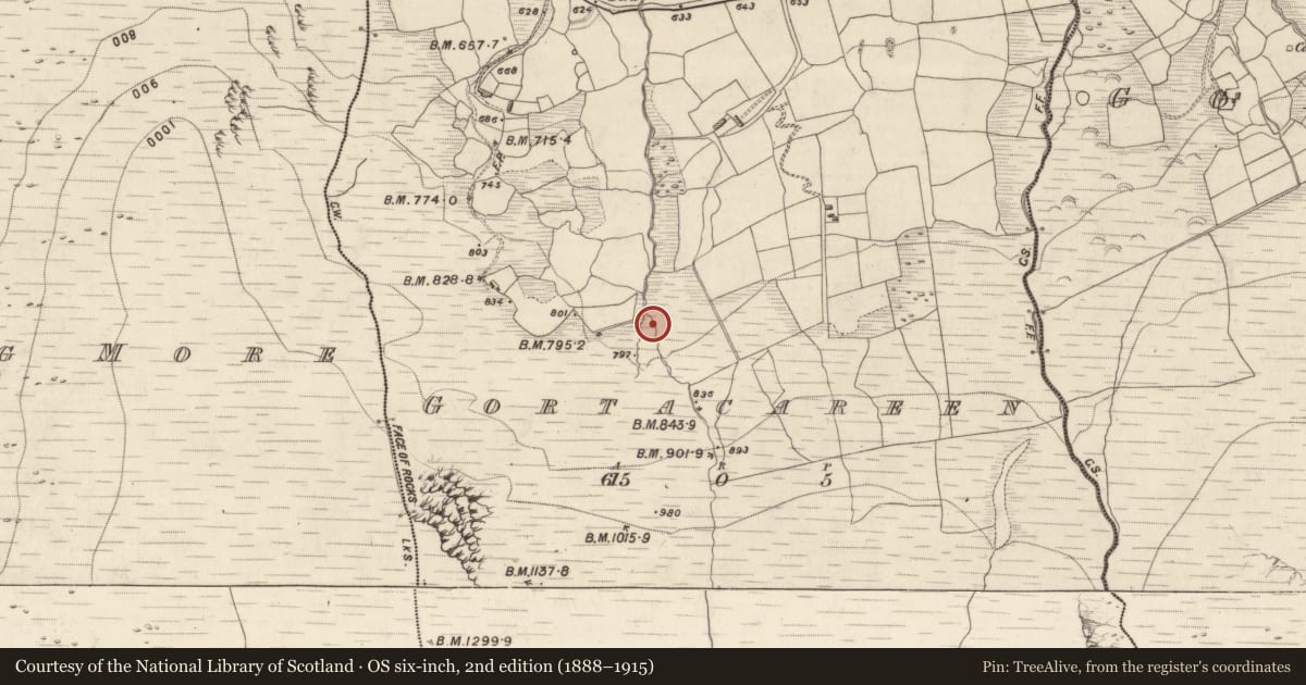Ordnance Survey six-inch map, 2nd edition (1888–1915) covering the location of Fulacht fia, Gortacareen, County Kerry, with a pin at the register's coordinates