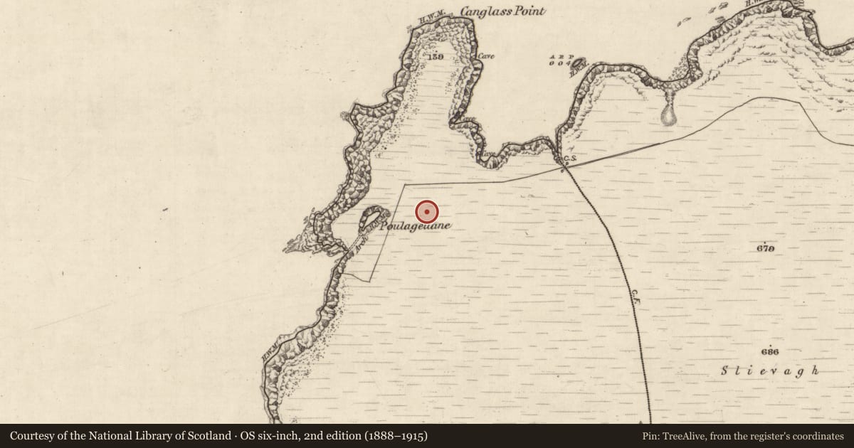Ordnance Survey six-inch map, 2nd edition (1888–1915) covering the location of Cairn - unclassified, Kimego West, County Kerry, with a pin at the register's coordinates