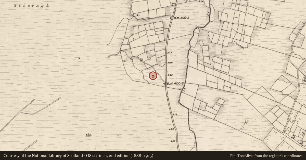 Ordnance Survey six-inch map, 2nd edition (1888–1915) covering the location of Enclosure, Kimego East, County Kerry, with a pin at the register's coordinates