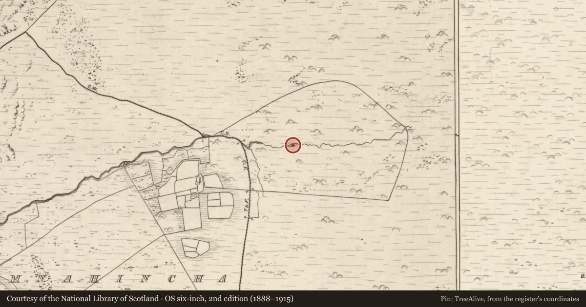 Ordnance Survey six-inch map, 2nd edition (1888–1915) covering the location of Hut site, Killurly Commons, County Kerry, with a pin at the register's coordinates