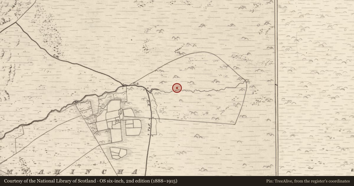 Ordnance Survey six-inch map, 2nd edition (1888–1915) covering the location of Hut site, Killurly Commons, County Kerry, with a pin at the register's coordinates