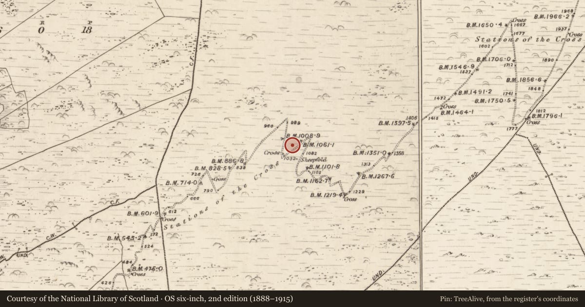 Ordnance Survey six-inch map, 2nd edition (1888–1915) covering the location of Hut site, Killurly Commons, County Kerry, with a pin at the register's coordinates