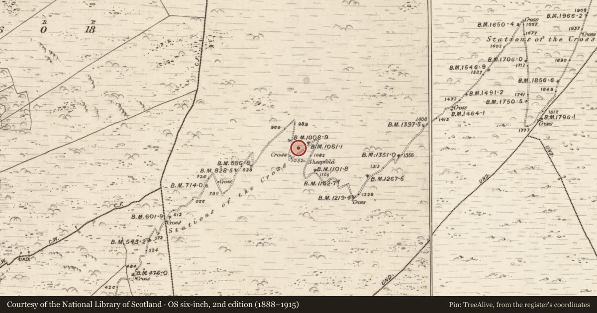 Ordnance Survey six-inch map, 2nd edition (1888–1915) covering the location of Hut site, Killurly Commons, County Kerry, with a pin at the register's coordinates