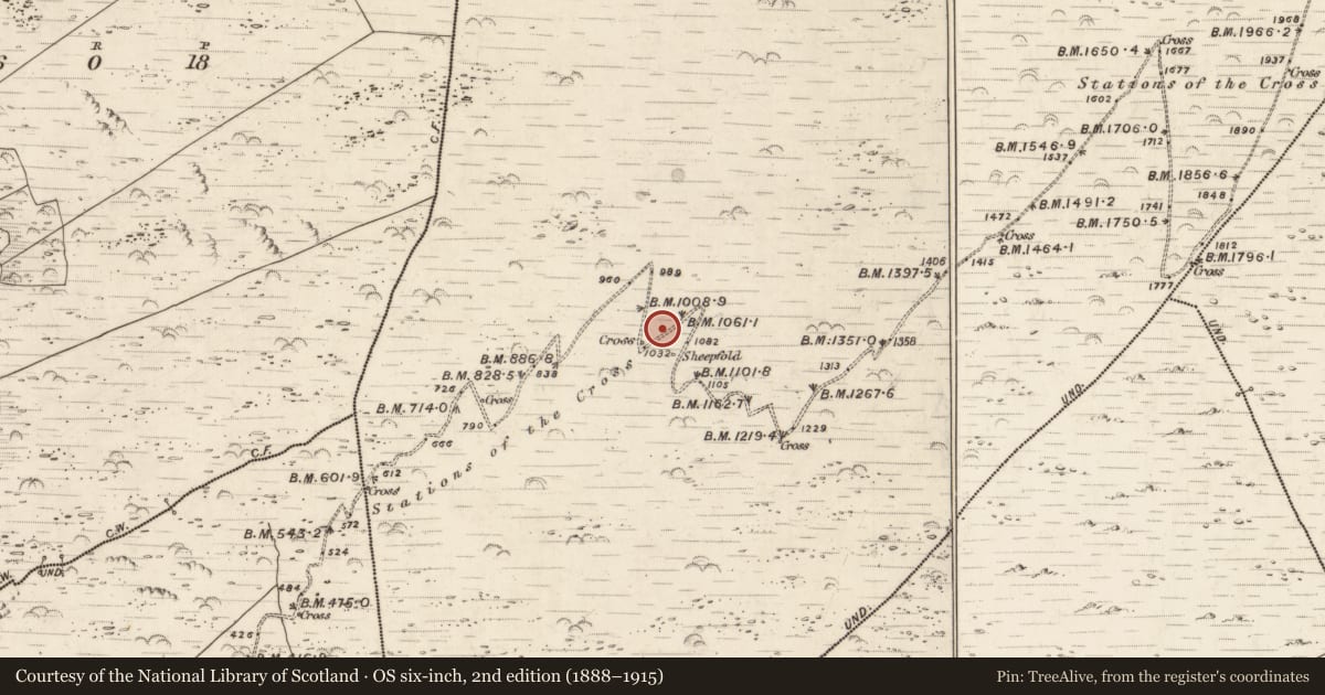 Ordnance Survey six-inch map, 2nd edition (1888–1915) covering the location of Hut site, Killurly Commons, County Kerry, with a pin at the register's coordinates