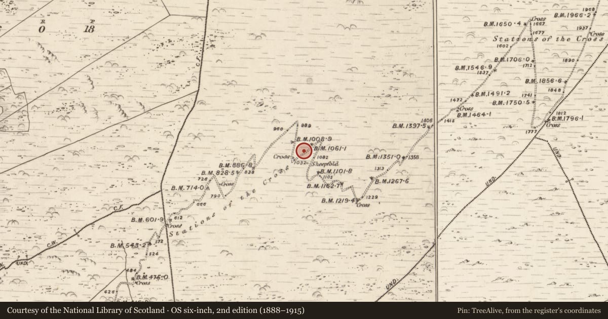 Ordnance Survey six-inch map, 2nd edition (1888–1915) covering the location of Hut site, Killurly Commons, County Kerry, with a pin at the register's coordinates