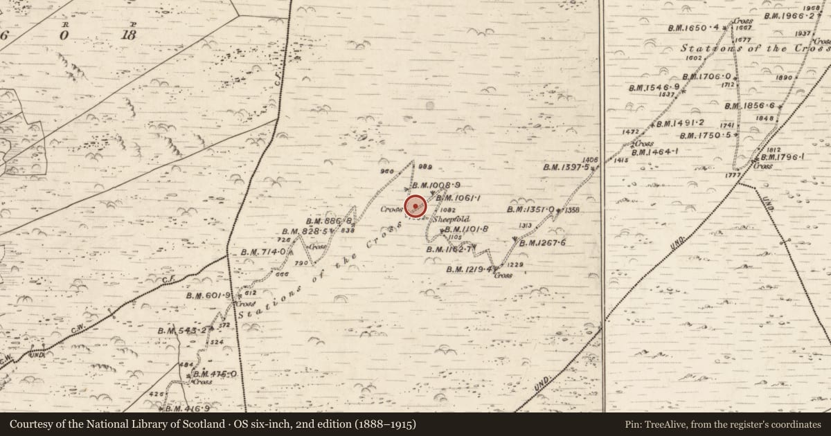 Ordnance Survey six-inch map, 2nd edition (1888–1915) covering the location of Hut site, Killurly Commons, County Kerry, with a pin at the register's coordinates