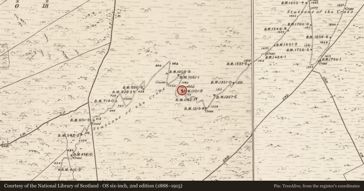 Ordnance Survey six-inch map, 2nd edition (1888–1915) covering the location of Cairn - unclassified, Killurly Commons, County Kerry, with a pin at the register's coordinates