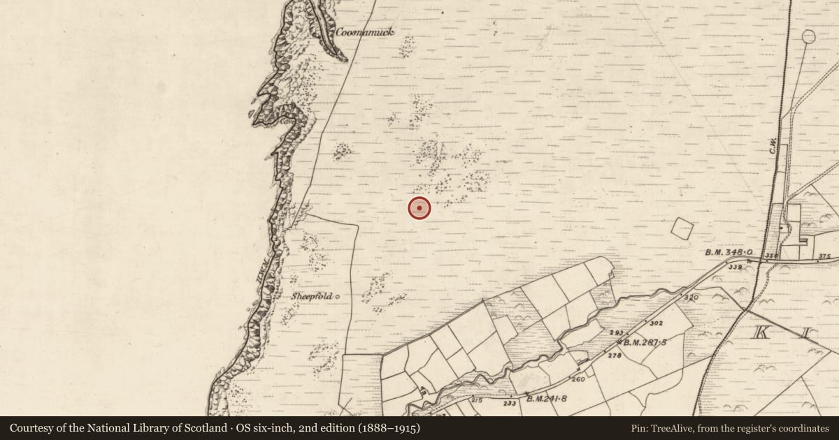 Ordnance Survey six-inch map, 2nd edition (1888–1915) covering the location of Field system, Kimego West, County Kerry, with a pin at the register's coordinates