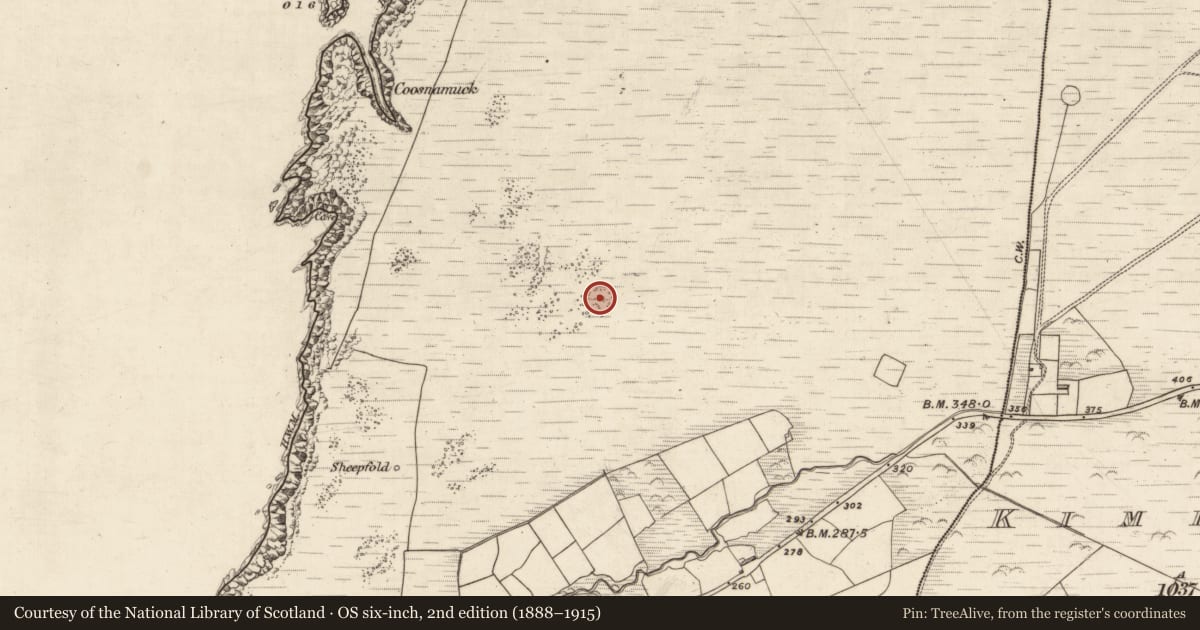 Ordnance Survey six-inch map, 2nd edition (1888–1915) covering the location of Enclosure, Kimego West, County Kerry, with a pin at the register's coordinates