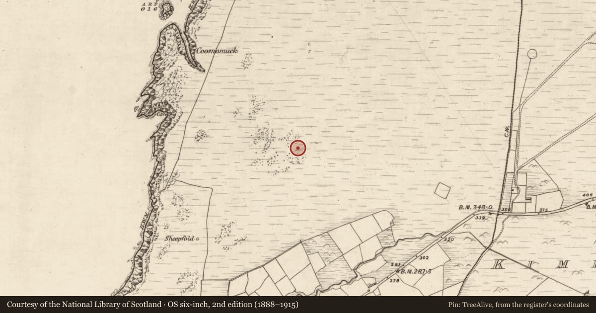 Ordnance Survey six-inch map, 2nd edition (1888–1915) covering the location of Hut site, Kimego West, County Kerry, with a pin at the register's coordinates