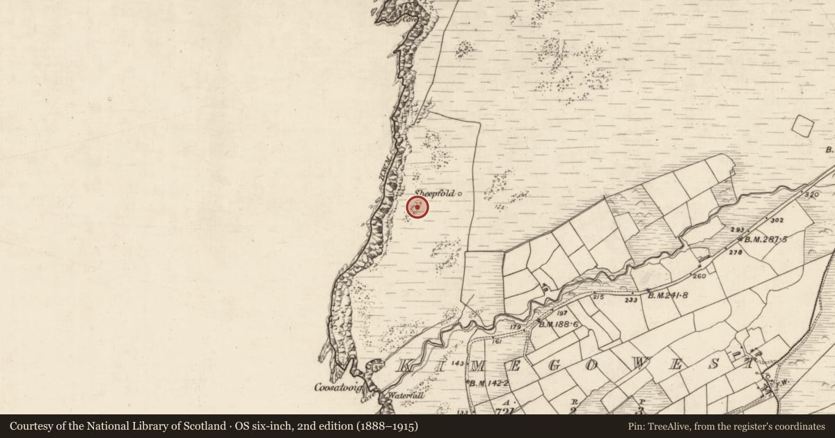 Ordnance Survey six-inch map, 2nd edition (1888–1915) covering the location of Hut site, Kimego West, County Kerry, with a pin at the register's coordinates