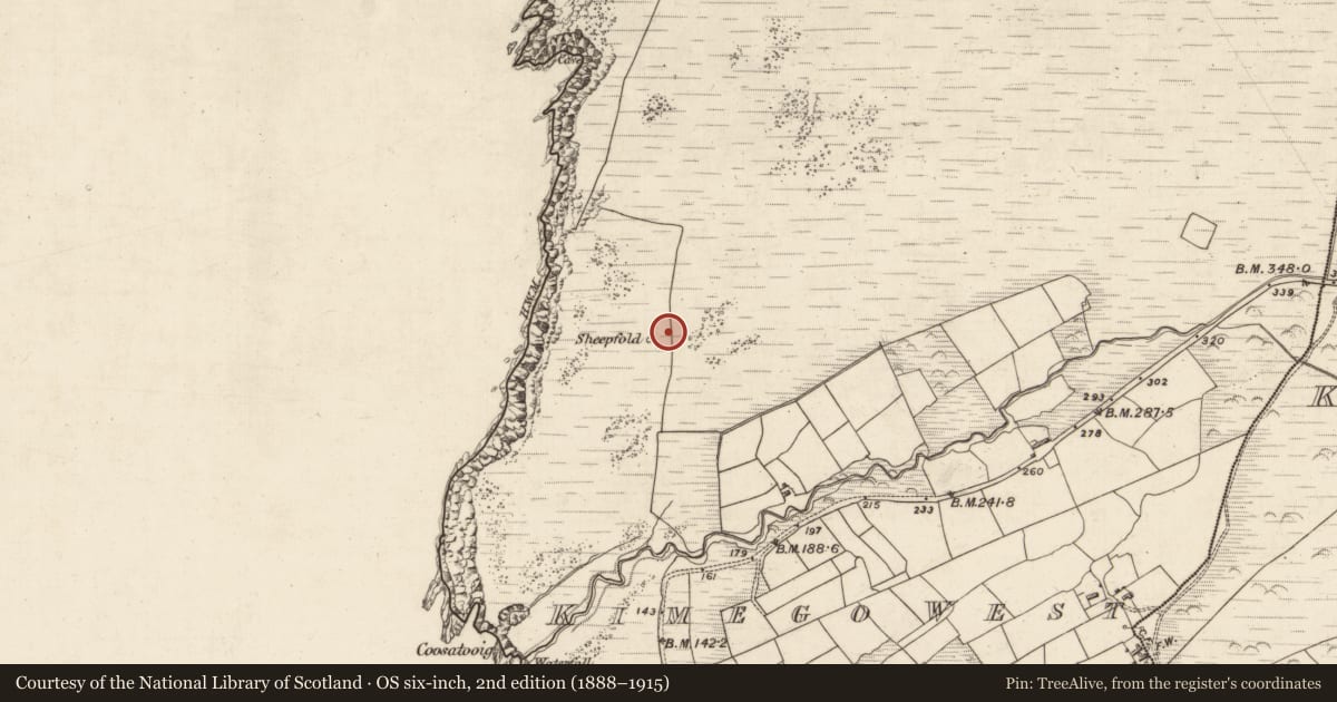 Ordnance Survey six-inch map, 2nd edition (1888–1915) covering the location of Souterrain, Kimego West, County Kerry, with a pin at the register's coordinates