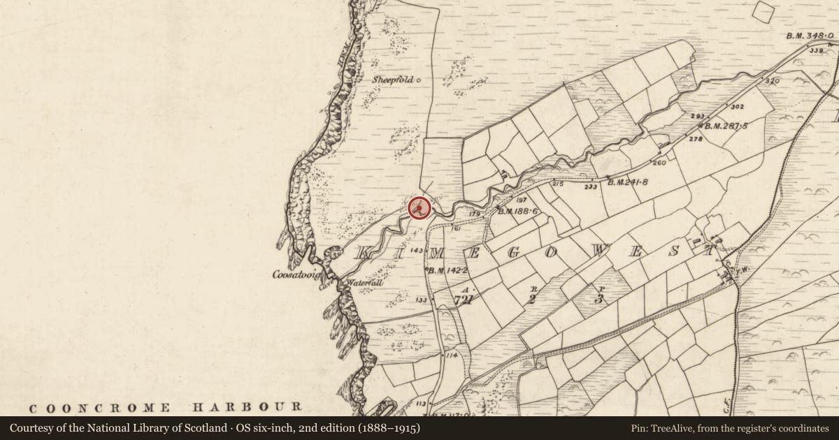 Ordnance Survey six-inch map, 2nd edition (1888–1915) covering the location of Hut site, Kimego West, County Kerry, with a pin at the register's coordinates