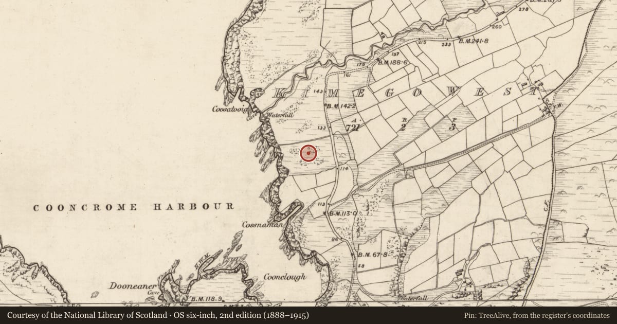 Ordnance Survey six-inch map, 2nd edition (1888–1915) covering the location of Field boundary, Kimego West, County Kerry, with a pin at the register's coordinates