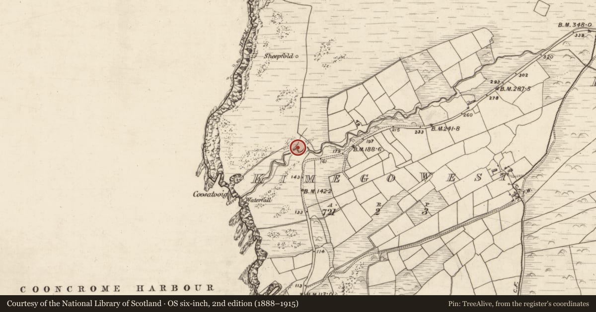 Ordnance Survey six-inch map, 2nd edition (1888–1915) covering the location of Hut site, Kimego West, County Kerry, with a pin at the register's coordinates