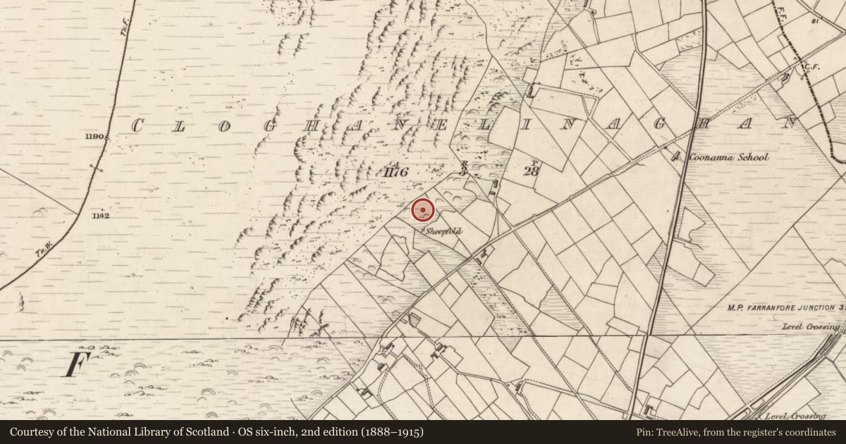 Ordnance Survey six-inch map, 2nd edition (1888–1915) covering the location of Hut site, Cloghanelinaghan, County Kerry, with a pin at the register's coordinates