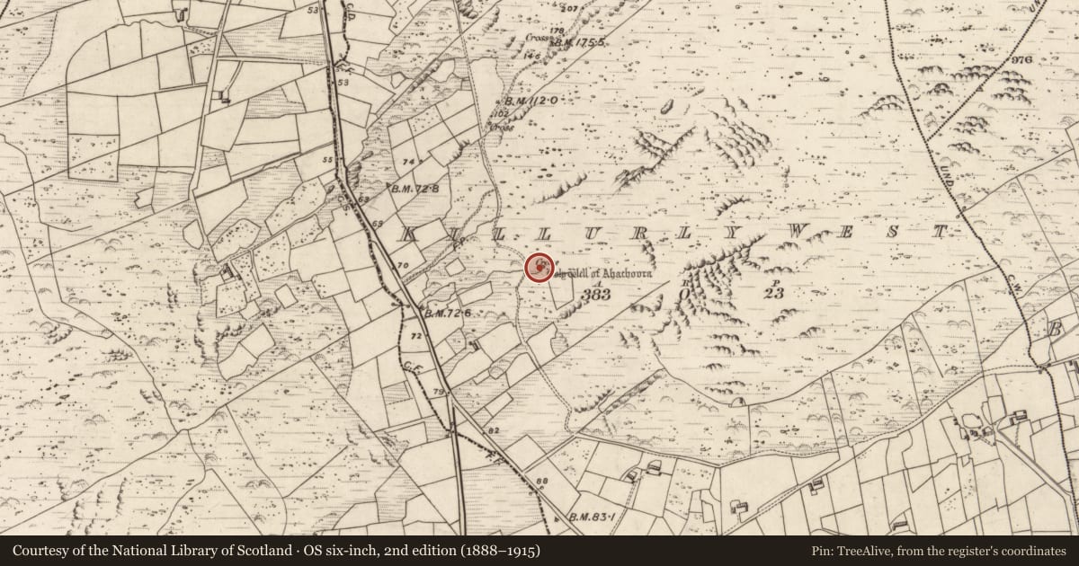 Ordnance Survey six-inch map, 2nd edition (1888–1915) covering the location of Ritual site - holy well, Killurly West, County Kerry, with a pin at the register's coordinates