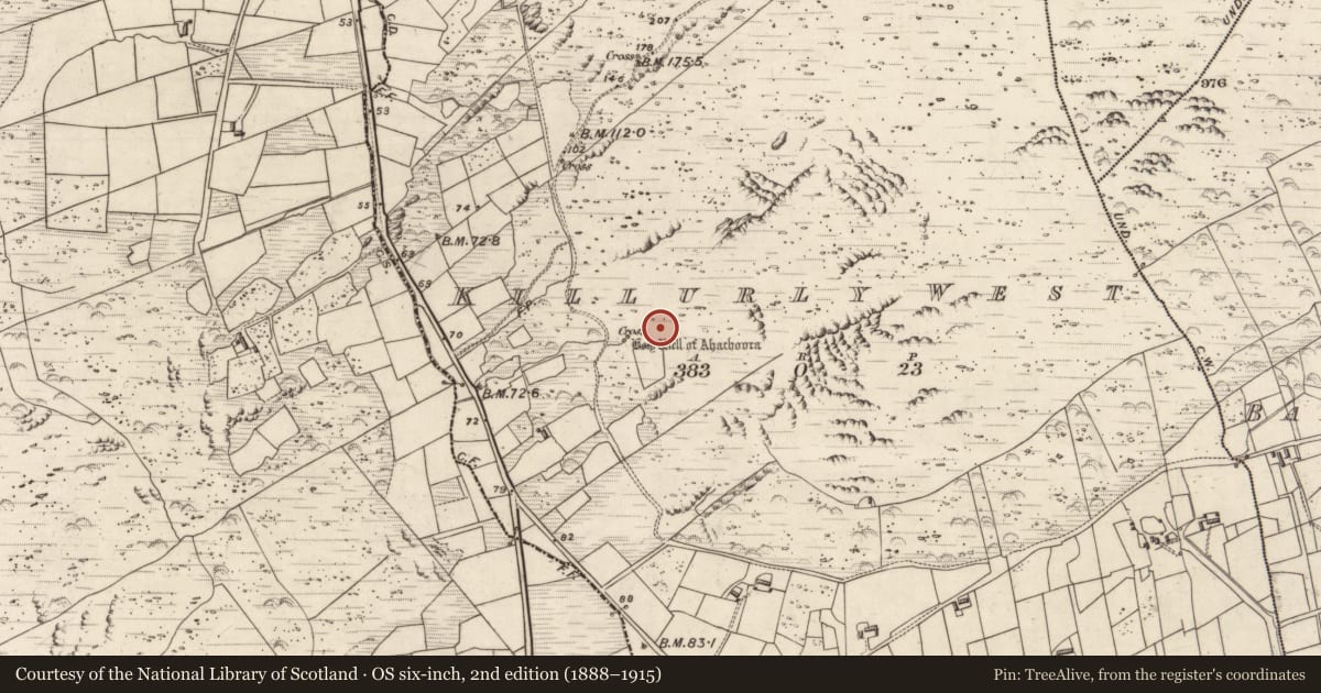 Ordnance Survey six-inch map, 2nd edition (1888–1915) covering the location of Hut site, Killurly West, County Kerry, with a pin at the register's coordinates