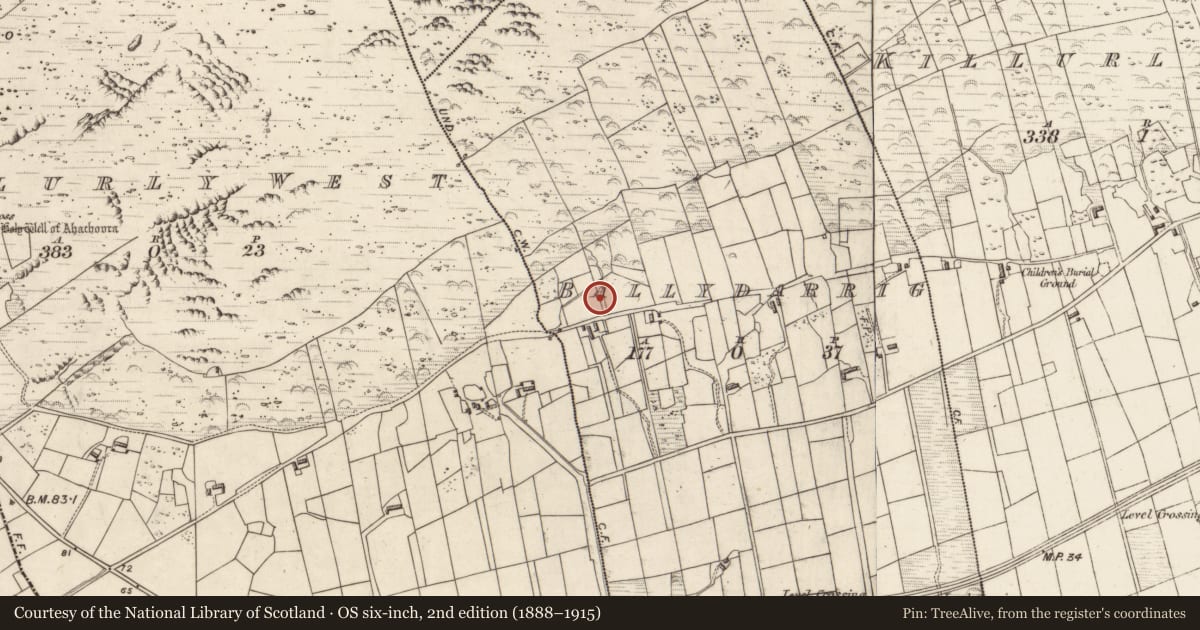 Ordnance Survey six-inch map, 2nd edition (1888–1915) covering the location of Hut site, Ballydarrig, County Kerry, with a pin at the register's coordinates