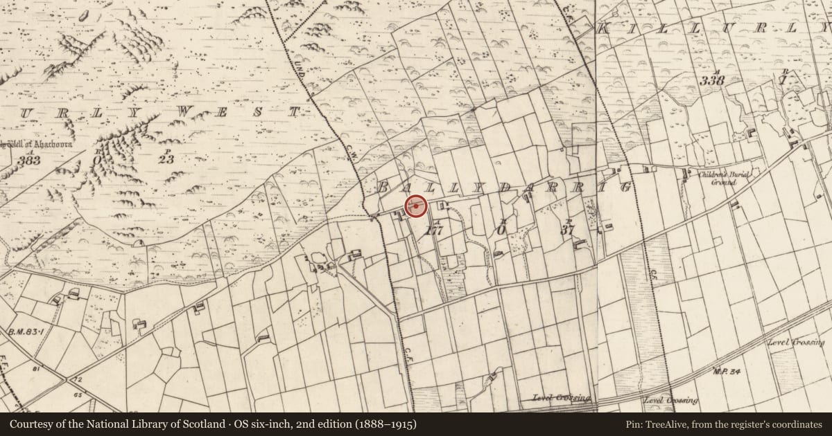 Ordnance Survey six-inch map, 2nd edition (1888–1915) covering the location of Cross-inscribed stone, Ballydarrig, County Kerry, with a pin at the register's coordinates