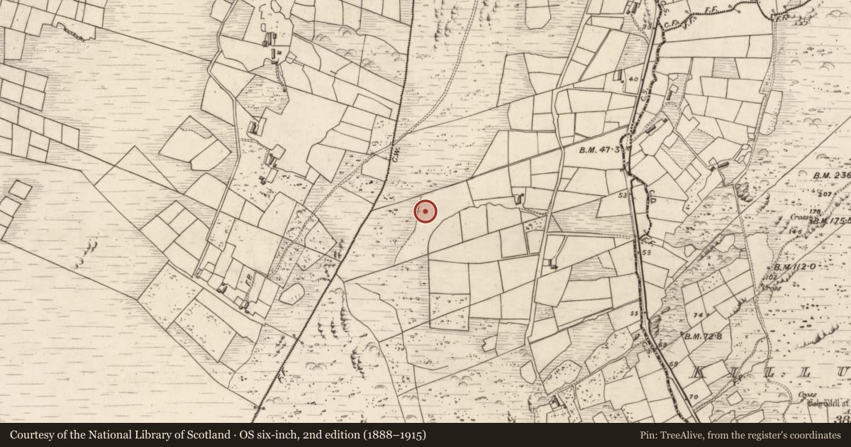Ordnance Survey six-inch map, 2nd edition (1888–1915) covering the location of Ringfort - cashel, Cloghanelinaghan, County Kerry, with a pin at the register's coordinates