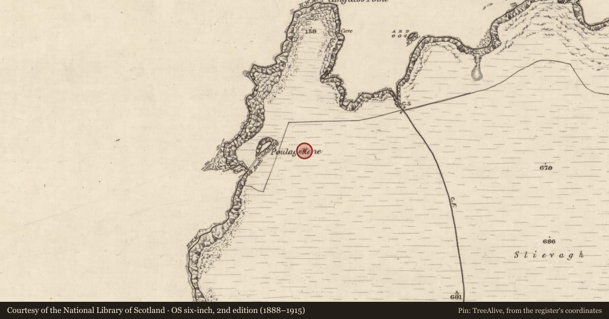 Ordnance Survey six-inch map, 2nd edition (1888–1915) covering the location of Field boundary, Kimego West, County Kerry, with a pin at the register's coordinates
