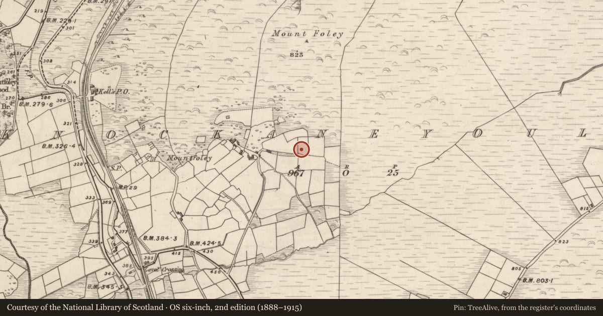 Ordnance Survey six-inch map, 2nd edition (1888–1915) covering the location of Souterrain, Knockaneyouloo, County Kerry, with a pin at the register's coordinates
