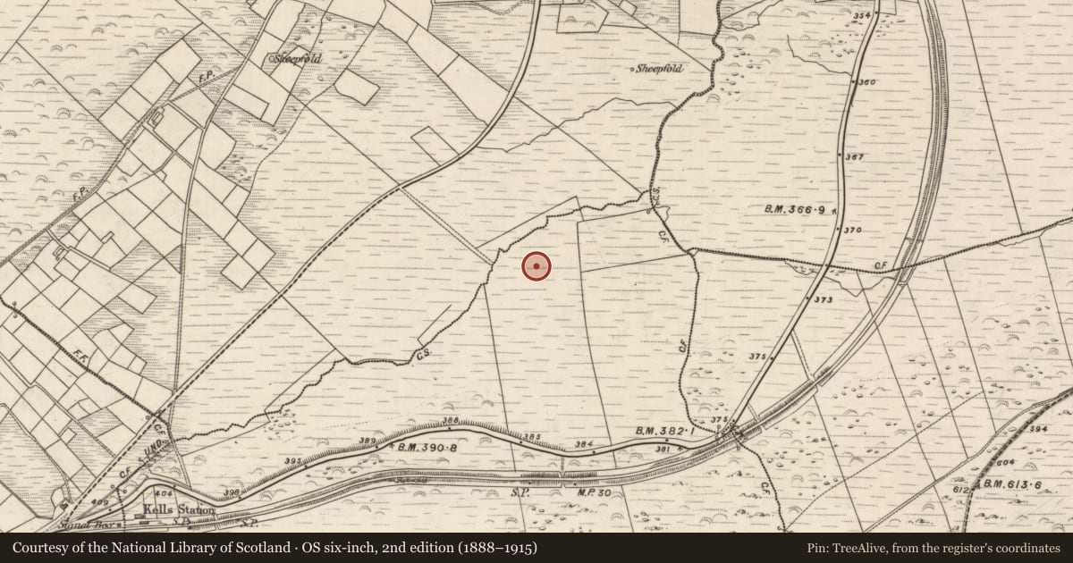 Ordnance Survey six-inch map, 2nd edition (1888–1915) covering the location of Enclosure, Boulerdah, Reacaslagh, County Kerry, with a pin at the register's coordinates