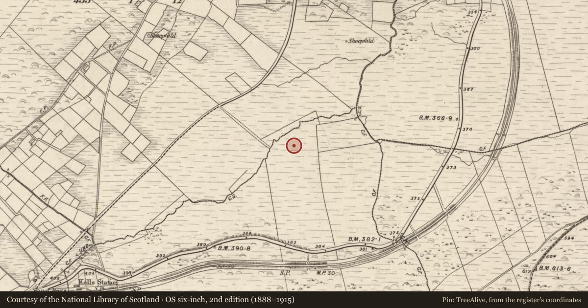 Ordnance Survey six-inch map, 2nd edition (1888–1915) covering the location of Hut site, Boulerdah, Reacaslagh, County Kerry, with a pin at the register's coordinates