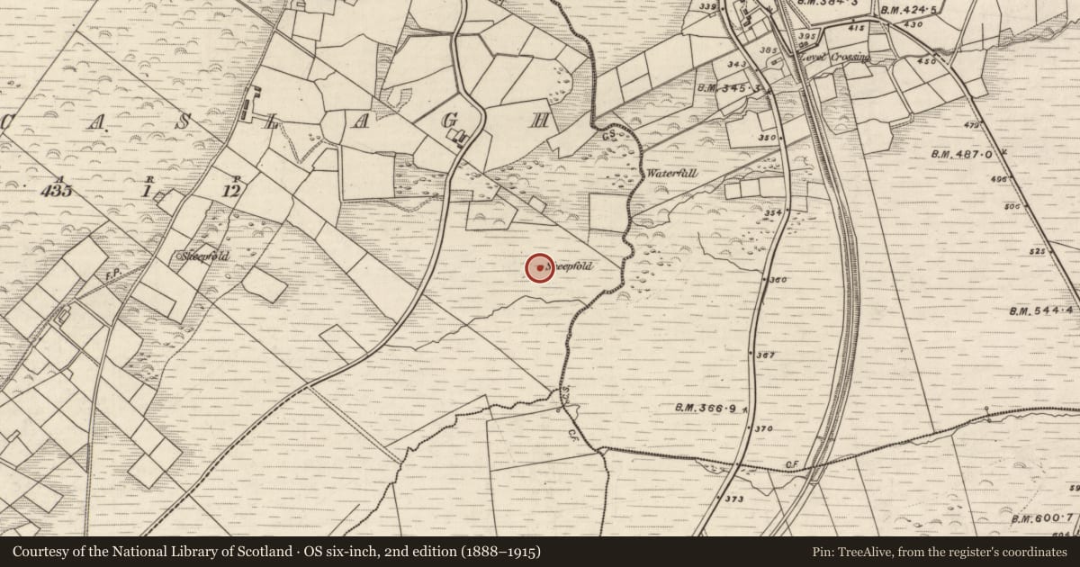 Ordnance Survey six-inch map, 2nd edition (1888–1915) covering the location of Hut site, Reacaslagh, County Kerry, with a pin at the register's coordinates