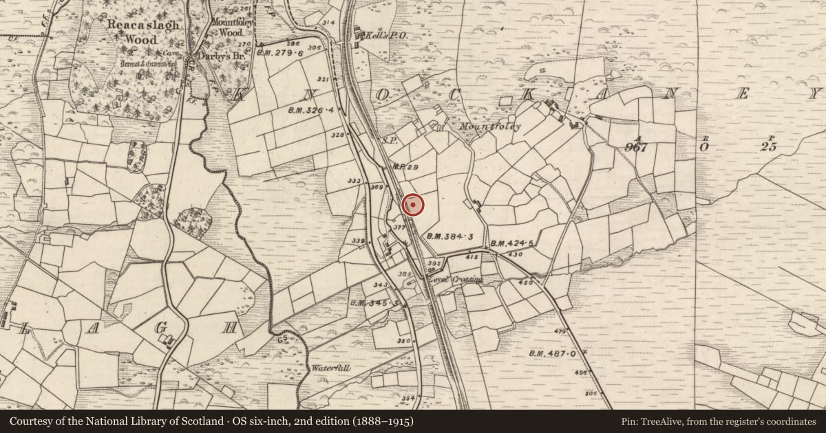 Ordnance Survey six-inch map, 2nd edition (1888–1915) covering the location of Souterrain, Knockaneyouloo, County Kerry, with a pin at the register's coordinates