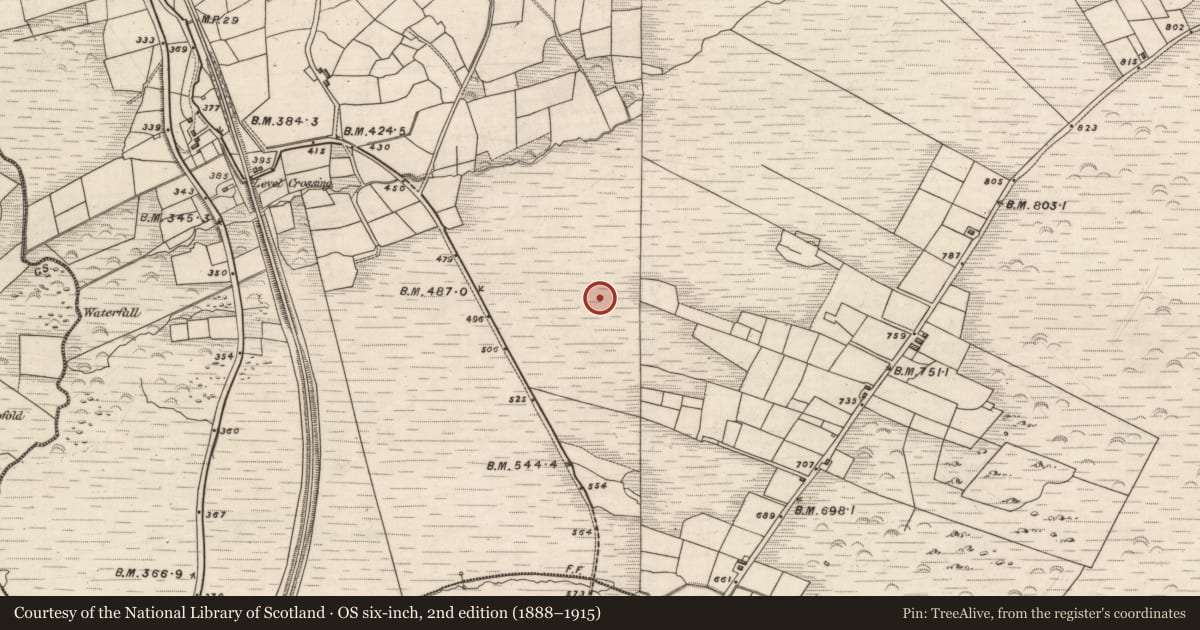 Ordnance Survey six-inch map, 2nd edition (1888–1915) covering the location of Field system, Knockaneyouloo, County Kerry, with a pin at the register's coordinates