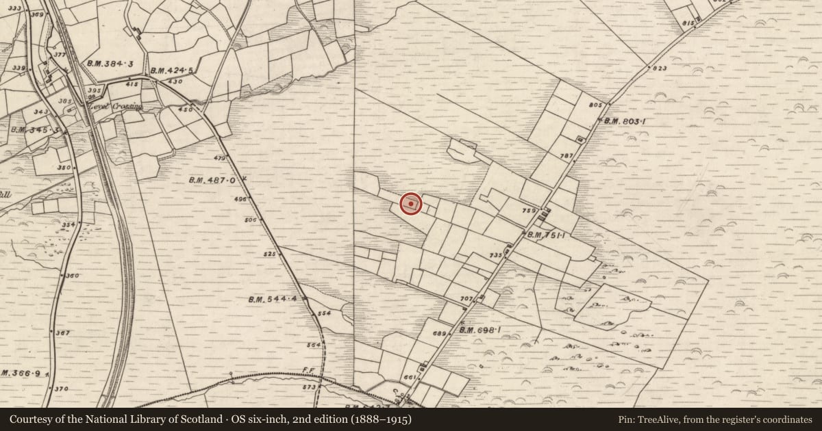 Ordnance Survey six-inch map, 2nd edition (1888–1915) covering the location of Hut site, Knockaneyouloo, County Kerry, with a pin at the register's coordinates