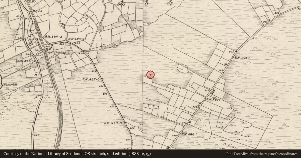 Ordnance Survey six-inch map, 2nd edition (1888–1915) covering the location of Hut site, Knockaneyouloo, County Kerry, with a pin at the register's coordinates