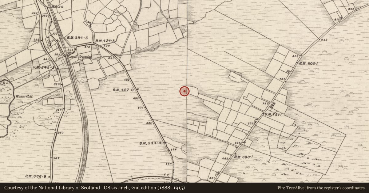 Ordnance Survey six-inch map, 2nd edition (1888–1915) covering the location of Hut site, Knockaneyouloo, County Kerry, with a pin at the register's coordinates