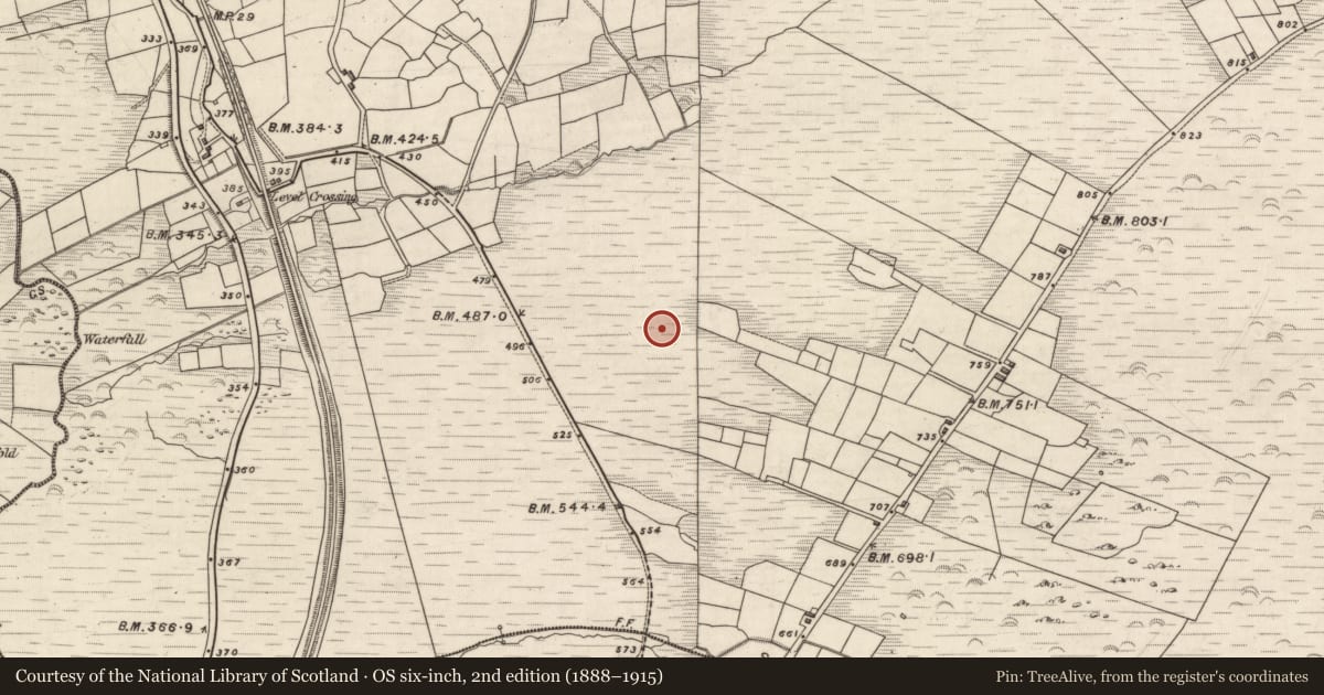 Ordnance Survey six-inch map, 2nd edition (1888–1915) covering the location of Hut site, Knockaneyouloo, County Kerry, with a pin at the register's coordinates
