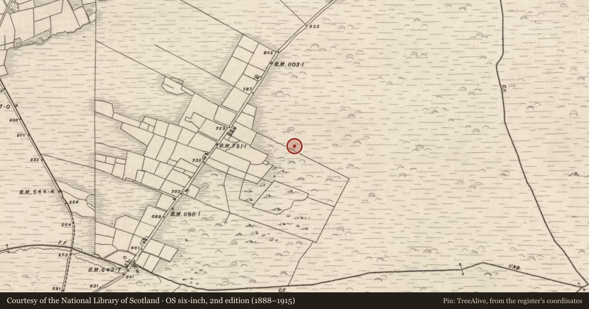 Ordnance Survey six-inch map, 2nd edition (1888–1915) covering the location of Hut site, Knockaneyouloo, County Kerry, with a pin at the register's coordinates