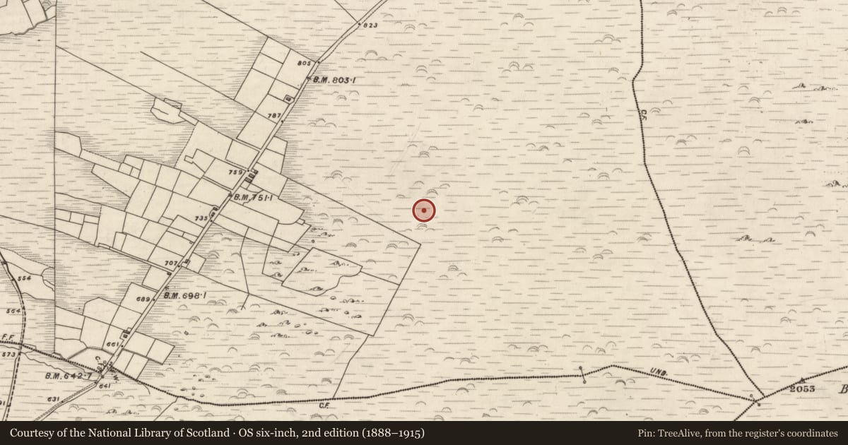Ordnance Survey six-inch map, 2nd edition (1888–1915) covering the location of Hut site, Knockaneyouloo, County Kerry, with a pin at the register's coordinates